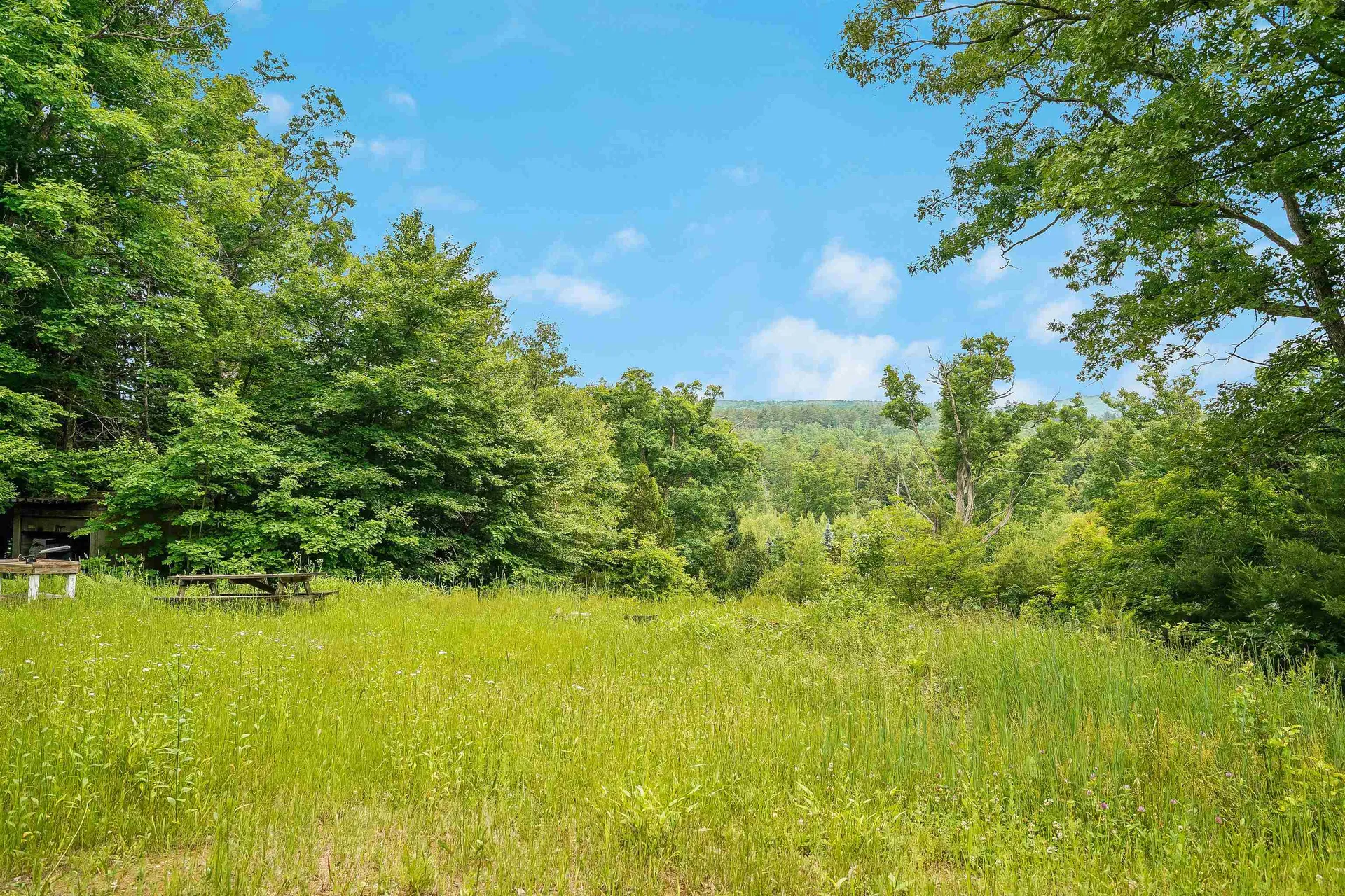 231 Mutton Road Webster NH 03303