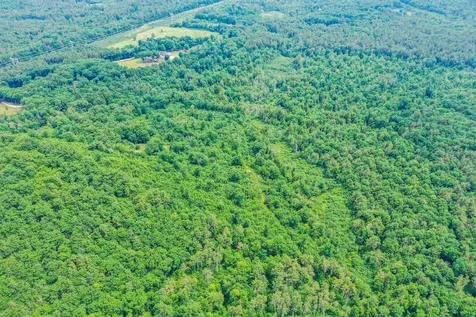 231 Mutton Road Webster NH 03303