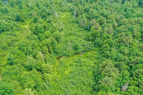 231 Mutton Road Webster NH 03303