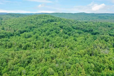 231 Mutton Road Webster NH 03303