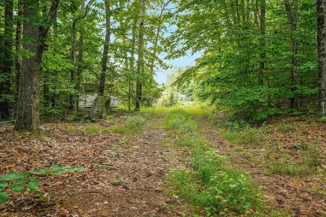 231 Mutton Road Webster NH 03303