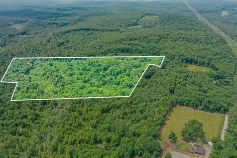 231 Mutton Road Webster NH 03303