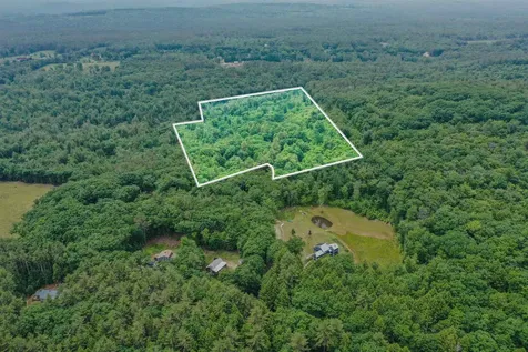 231 Mutton Road Webster NH 03303