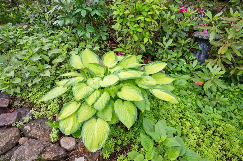 383 Wulamat Road Bristol NH 03222