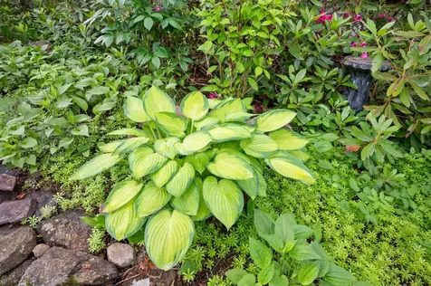 383 Wulamat Road Bristol NH 03222