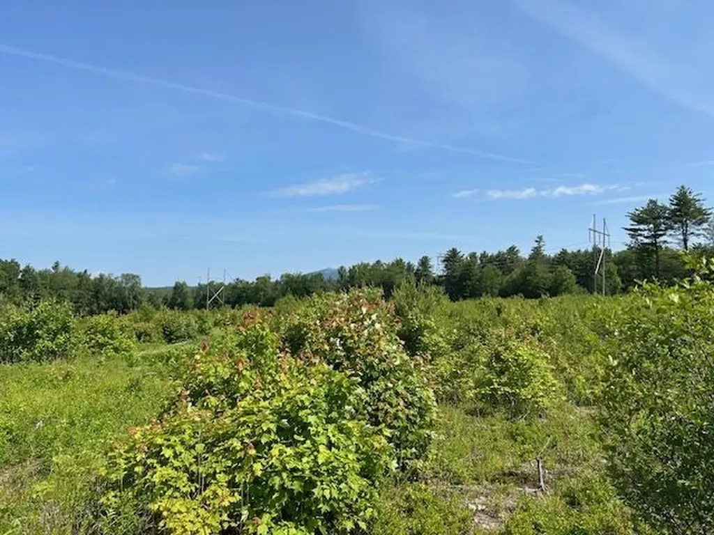 310 Nh Route 119 Fitzwilliam NH 03447