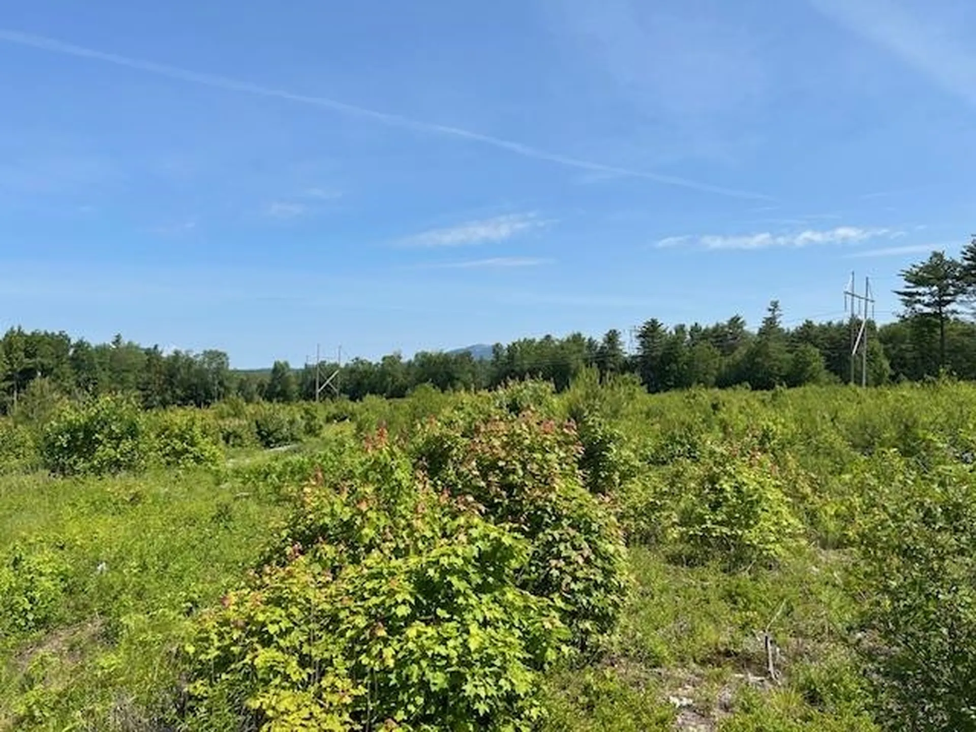 310 Nh Route 119 Fitzwilliam NH 03447