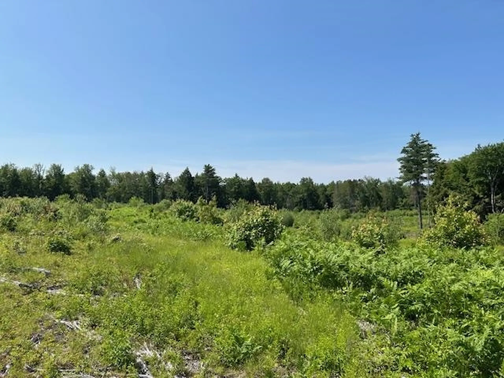 310 Nh Route 119 Fitzwilliam NH 03447
