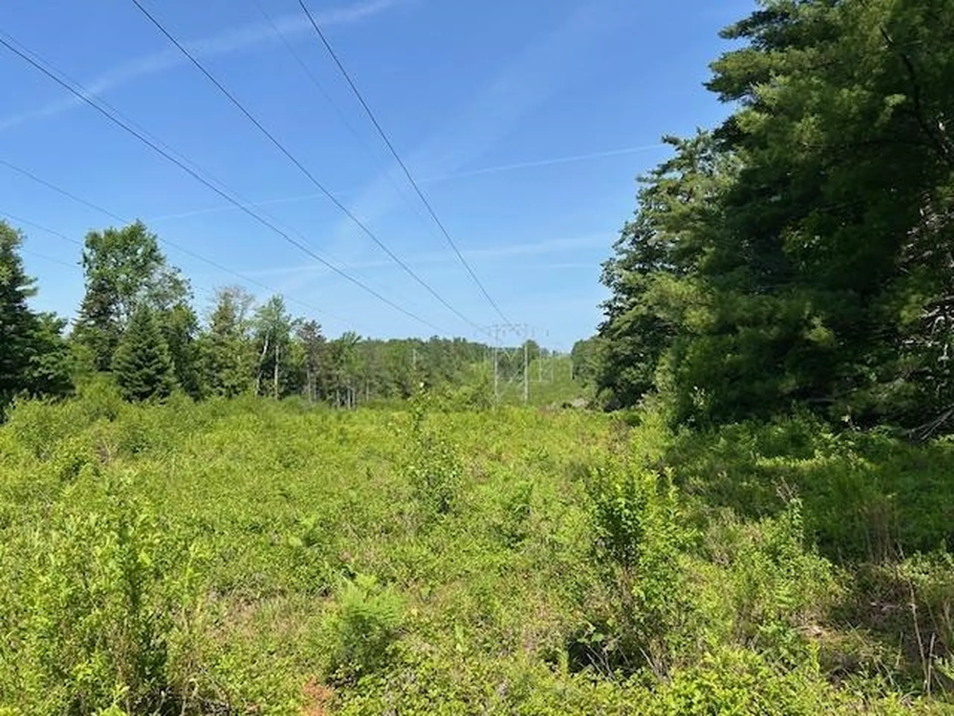 310 Nh Route 119 Fitzwilliam NH 03447