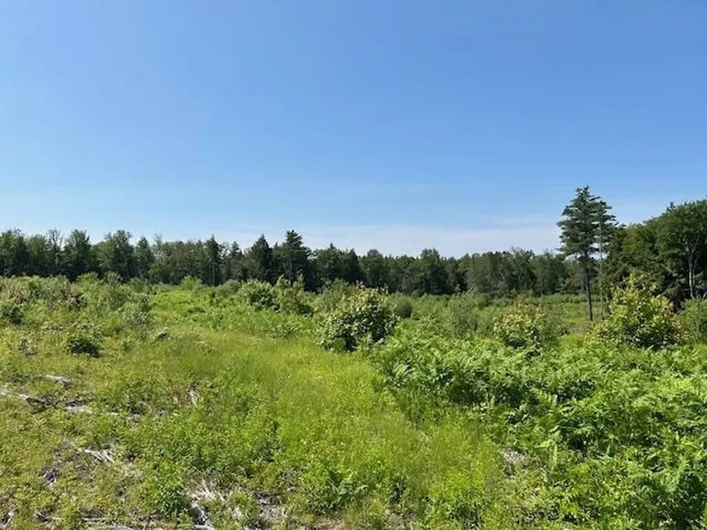 310 Nh Route 119 Fitzwilliam NH 03461