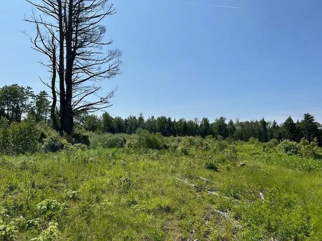 310 Nh Route 119 Fitzwilliam NH 03461