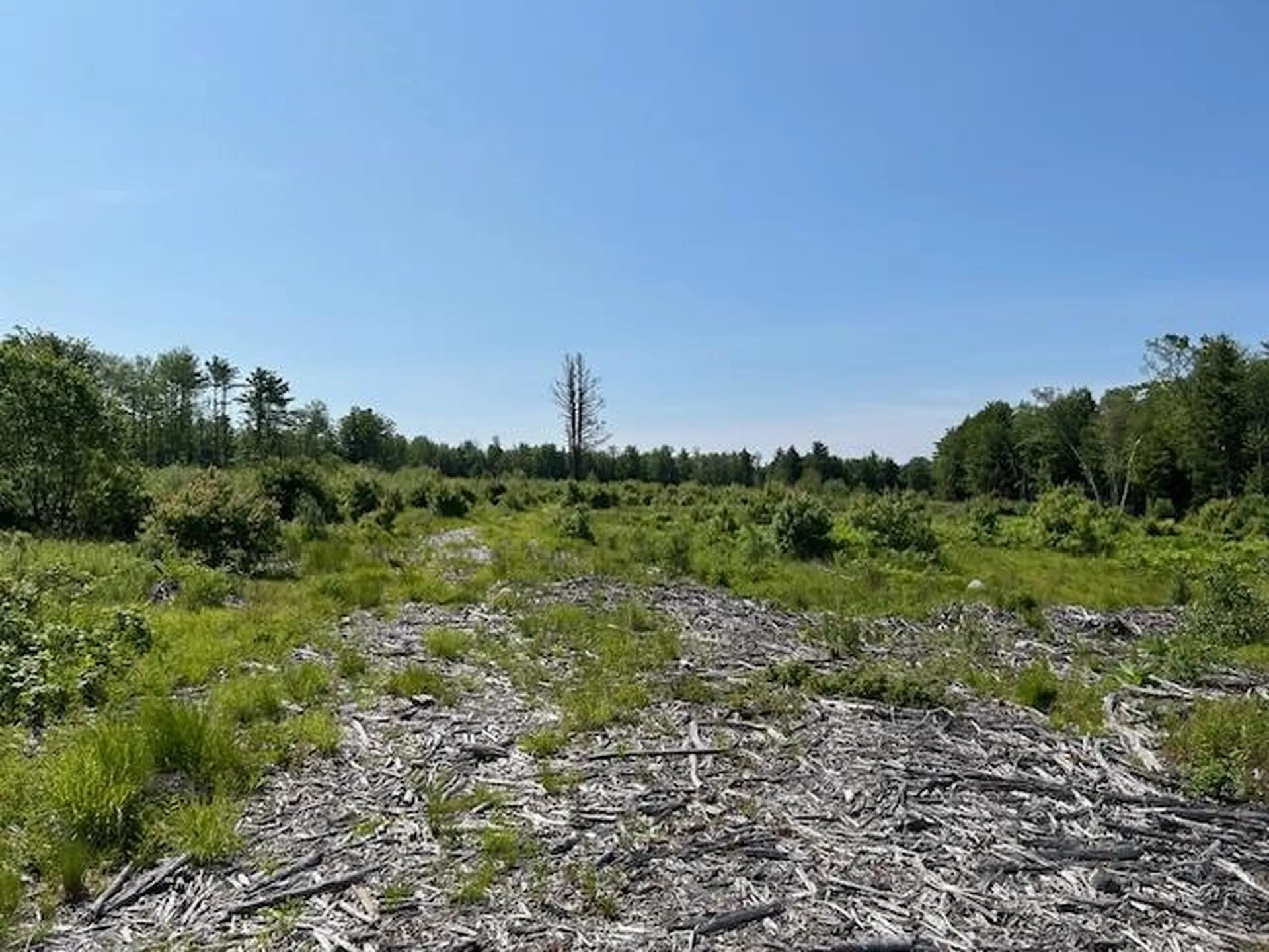 310 Nh Route 119 Fitzwilliam NH 03461