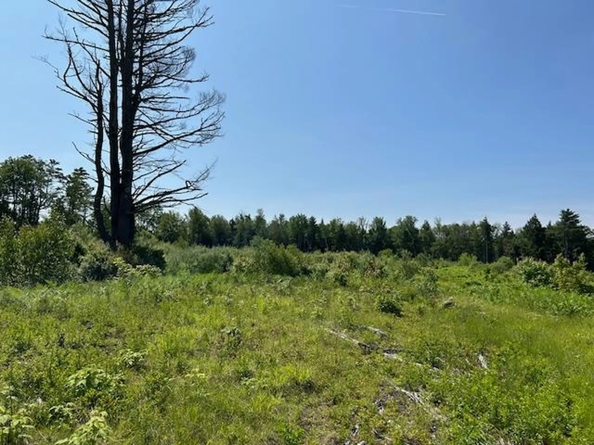 310 Nh Route 119 Fitzwilliam NH 03461