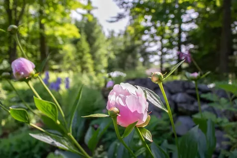 1017 Mayhew Road Jay VT 05859