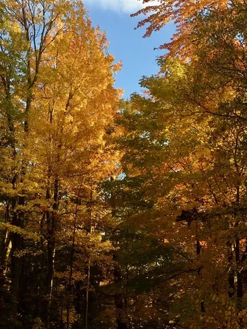 1017 Mayhew Road Jay VT 05859