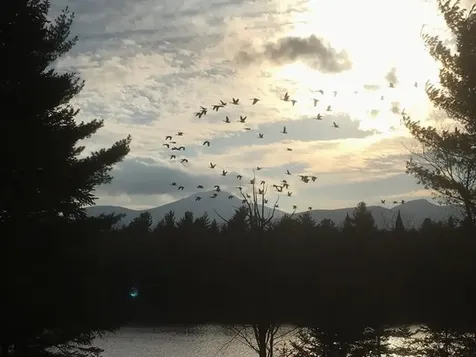 1017 Mayhew Road Jay VT 05859