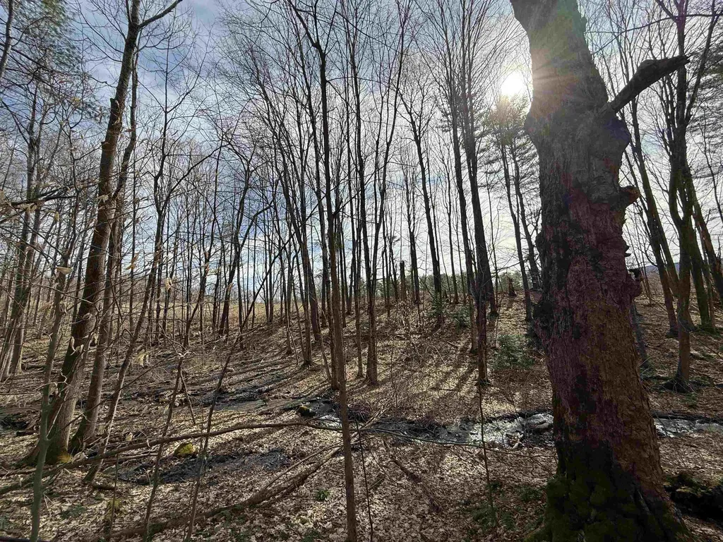 15 Wind Hill Road Manchester VT 05255