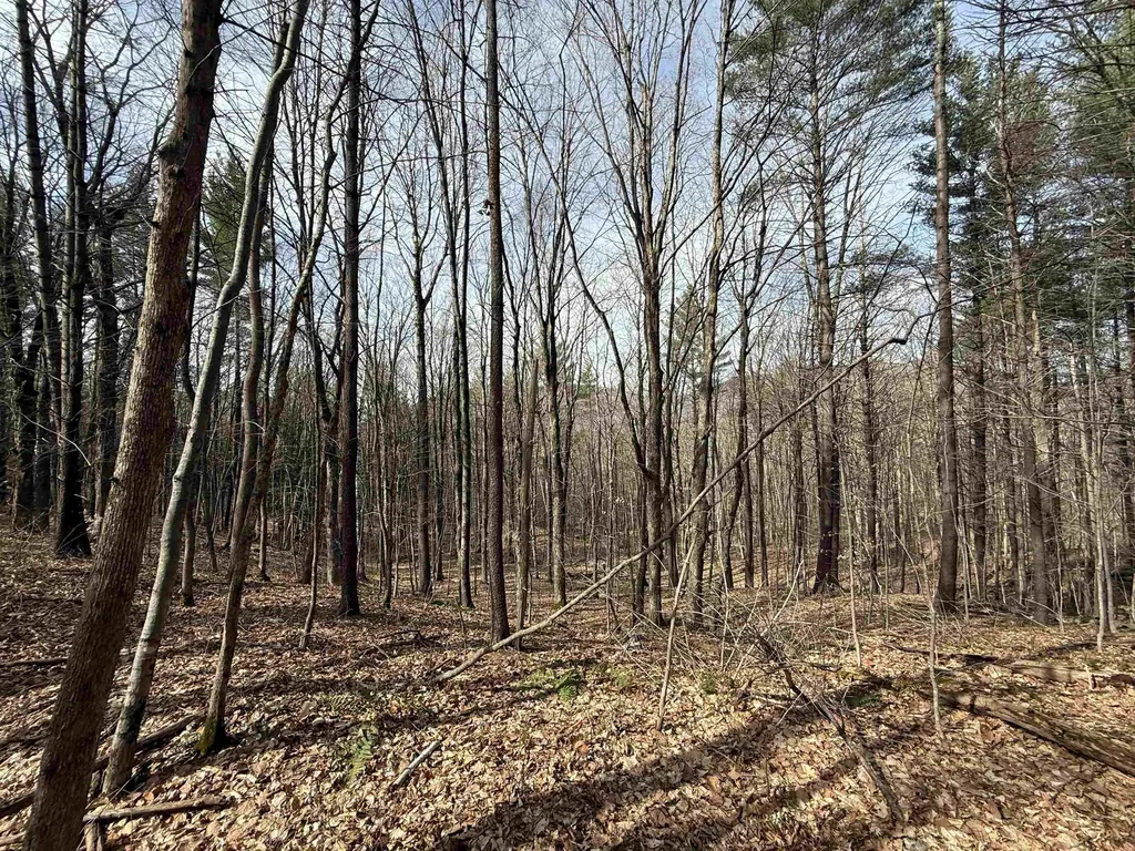 15 Wind Hill Road Manchester VT 05255