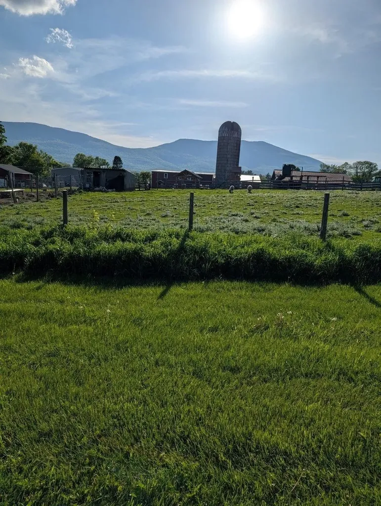 15 Wind Hill Road Manchester VT 05255