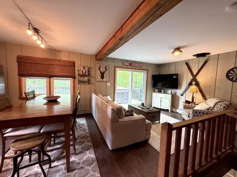 100 Alpine Drive Mount Holly VT 05758