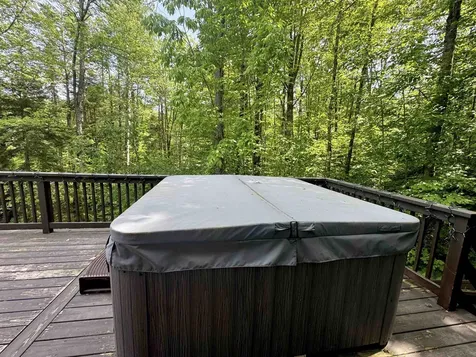 100 Alpine Drive Mount Holly VT 05758