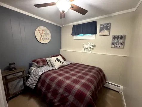 100 Alpine Drive Mount Holly VT 05758