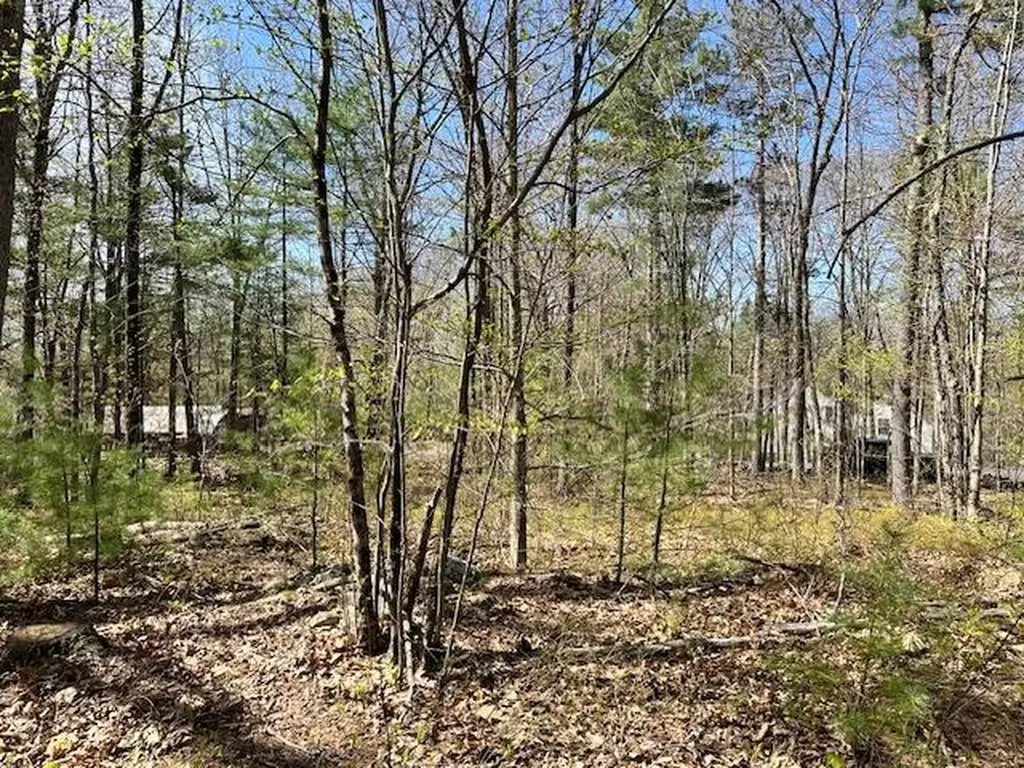 Lot 41-b Quimby Road Bow NH 03304