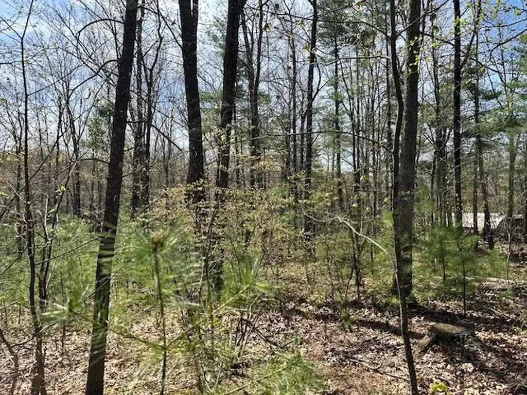 Lot 41-b Quimby Road Bow NH 03304