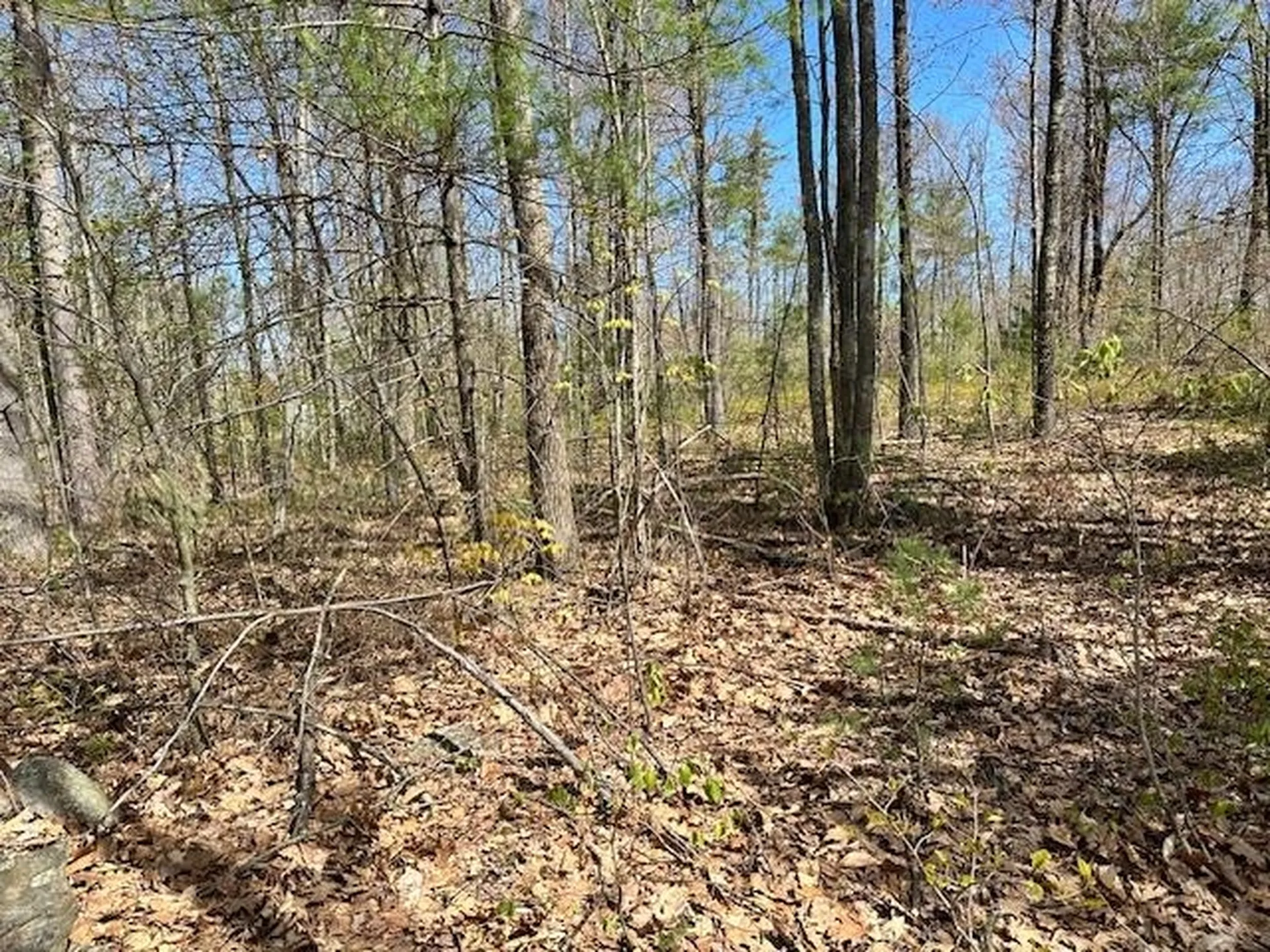 Lot 41-b Quimby Road Bow NH 03304