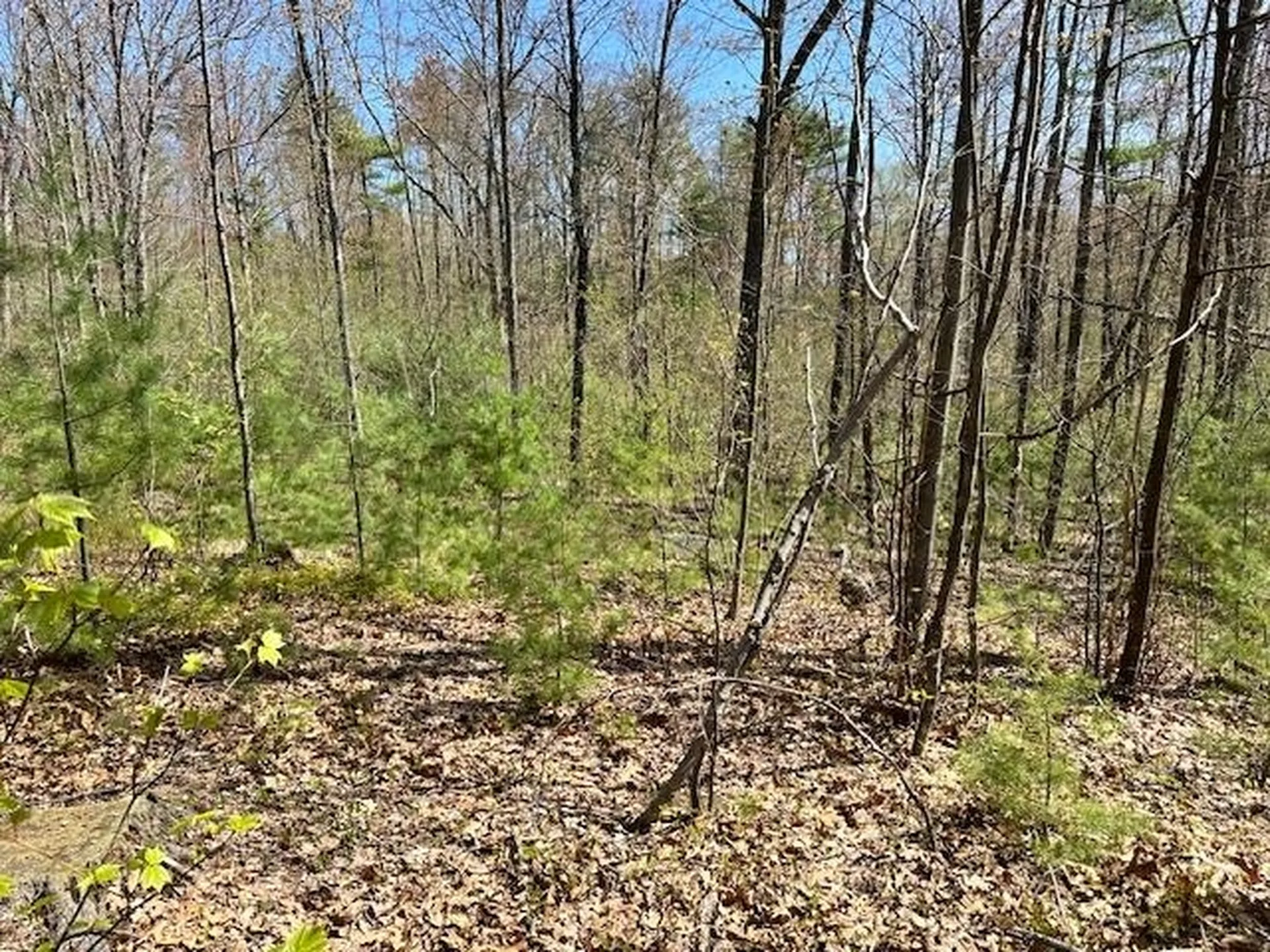 Lot 41-b Quimby Road Bow NH 03304