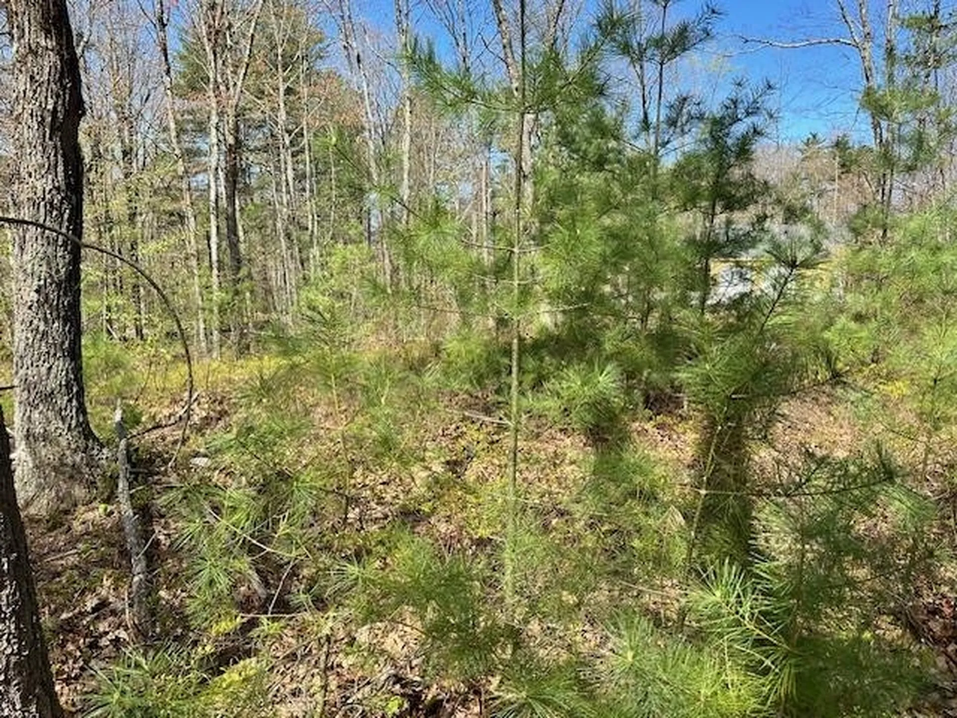 Lot 41-b Quimby Road Bow NH 03304