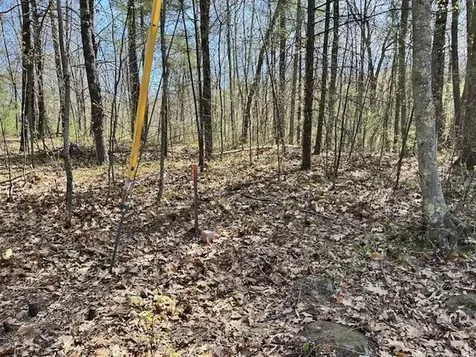 Lot 41-b Quimby Road Bow NH 03304