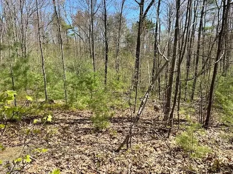 Lot 41-b Quimby Road Bow NH 03304