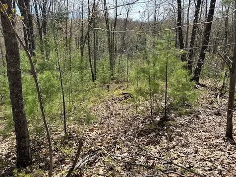 Lot 41-b Quimby Road Bow NH 03304