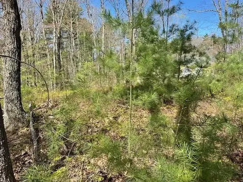 Lot 41-b Quimby Road Bow NH 03304