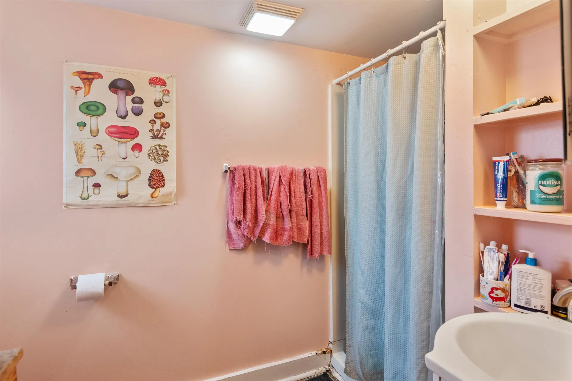 317 North Winooski Avenue Burlington VT 05401