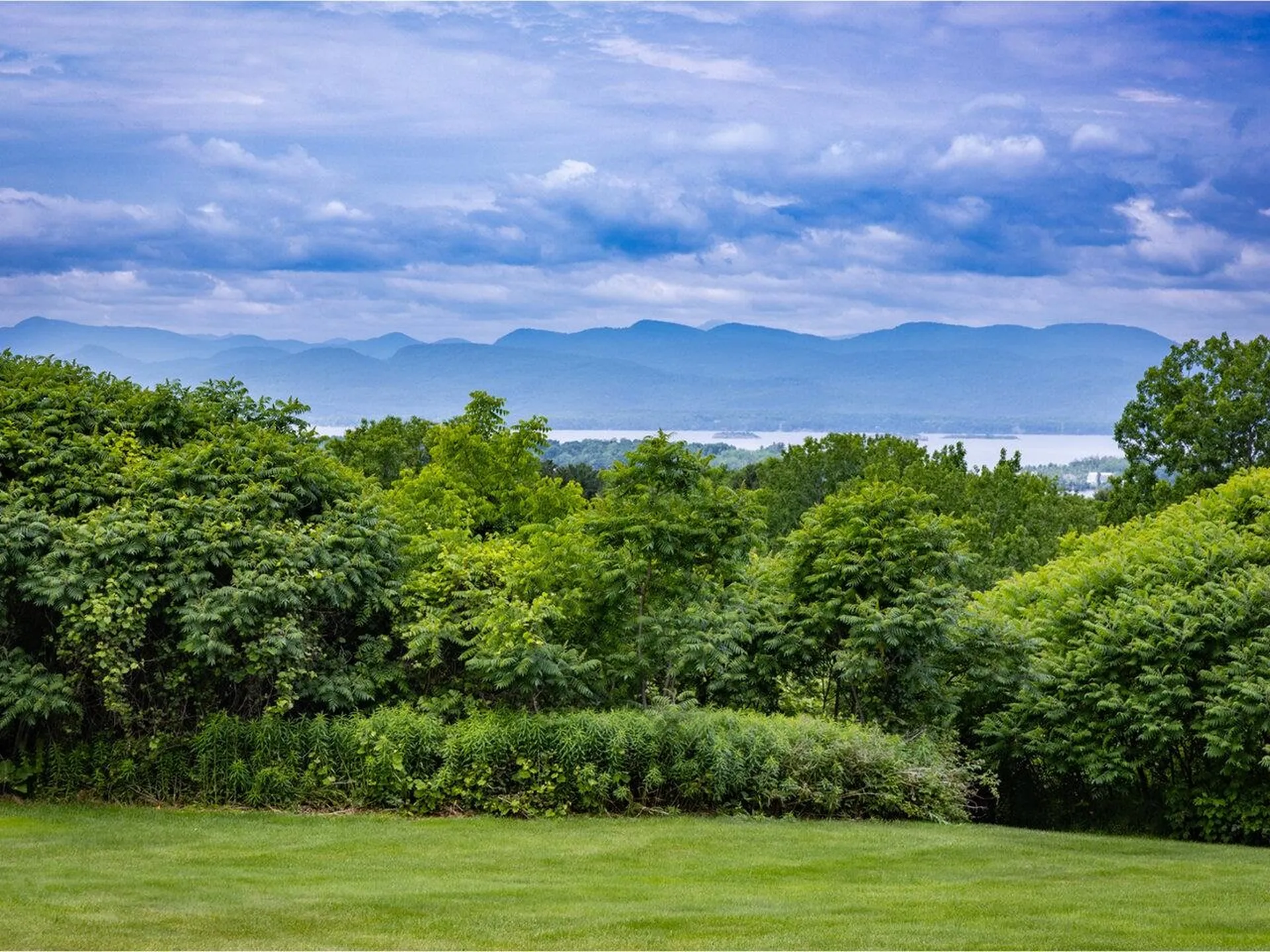 1411 Spear Street South Burlington VT 05403