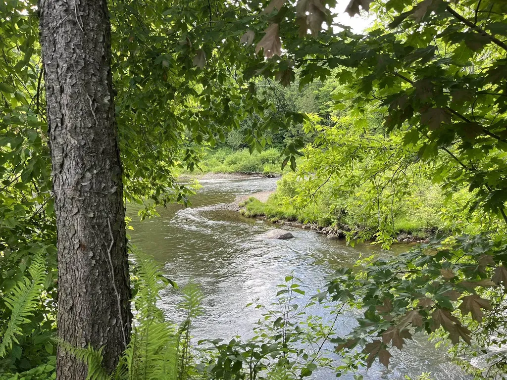 498 Clyde Street Newport City VT 05855