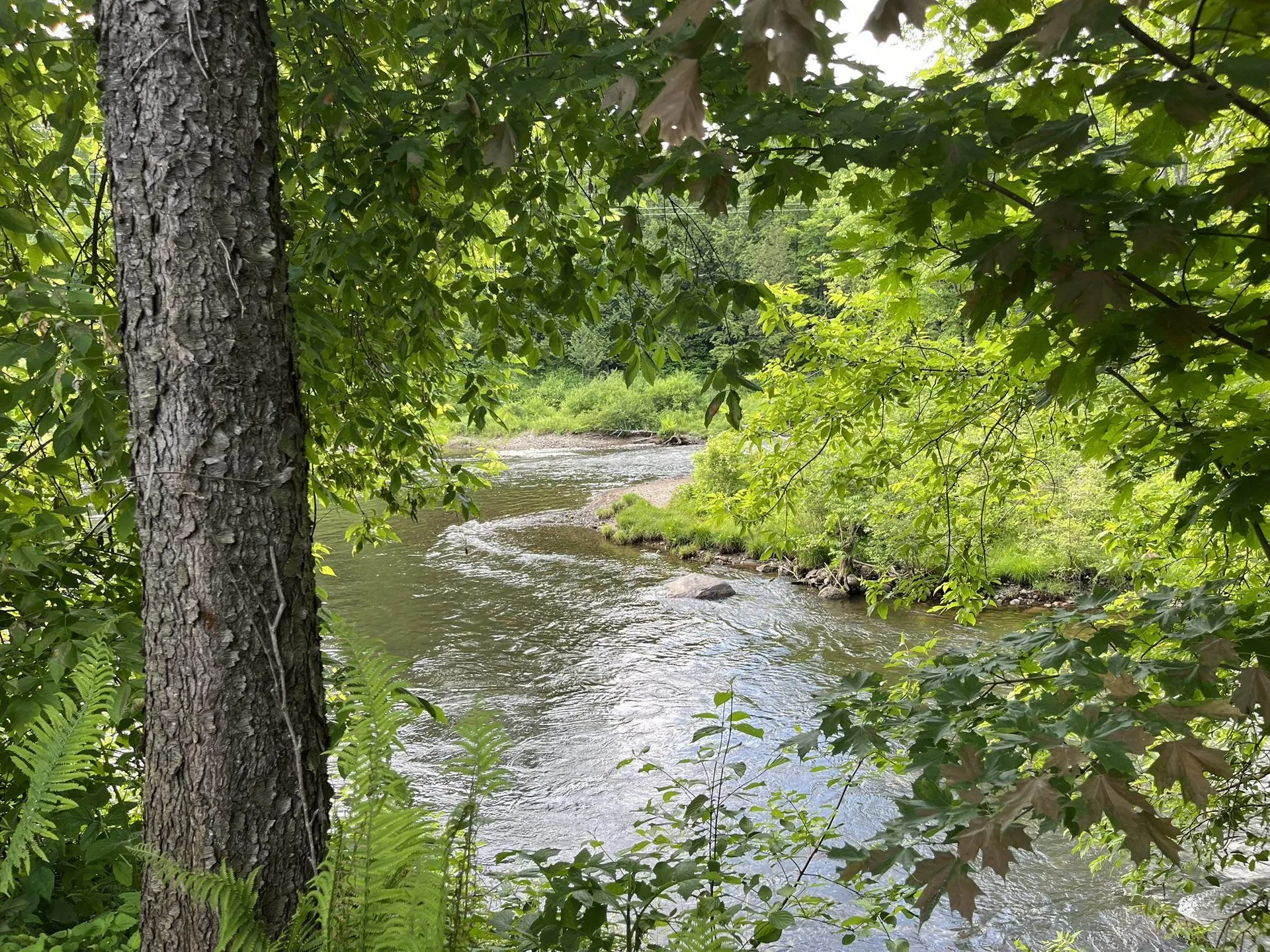 498 Clyde Street Newport City VT 05855