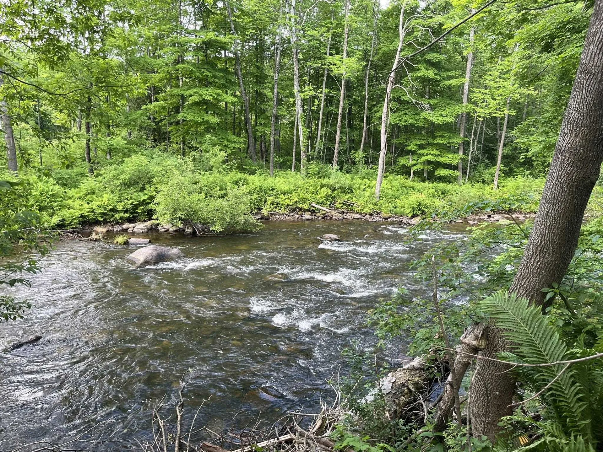 498 Clyde Street Newport City VT 05855