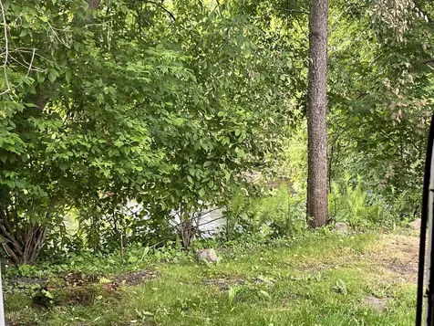 498 Clyde Street Newport City VT 05855