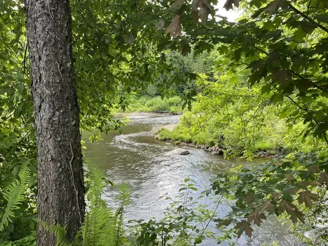 498 Clyde Street Newport City VT 05855