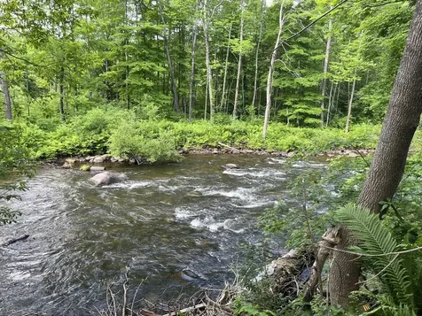 498 Clyde Street Newport City VT 05855