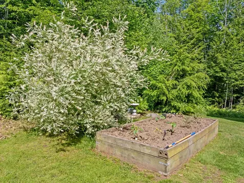 202 Cherry Valley Road Alton NH 03810