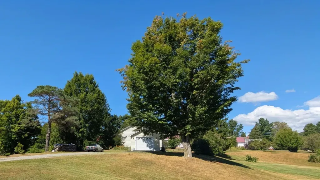 242 Middle Street Brighton VT 05846