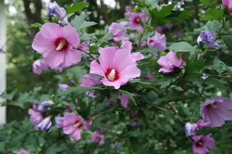 129 Haverhill Road East Kingston NH 03827