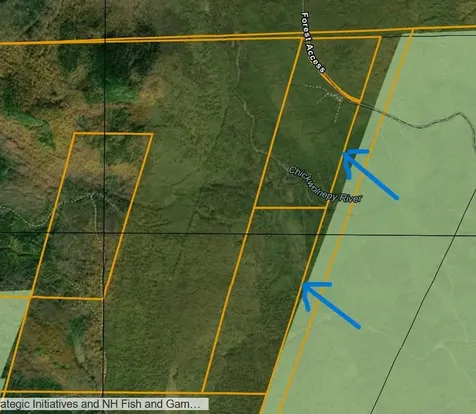 0 Off Bog Brook Road Milan NH 03588