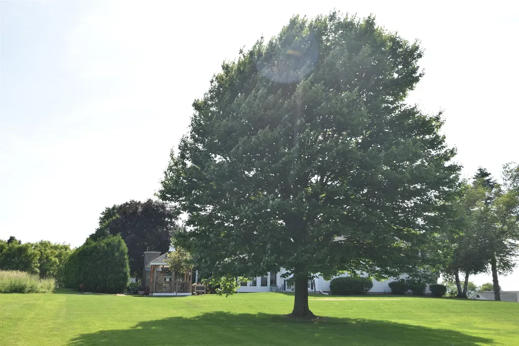 8 Green Meadow Acres Vergennes VT 05491