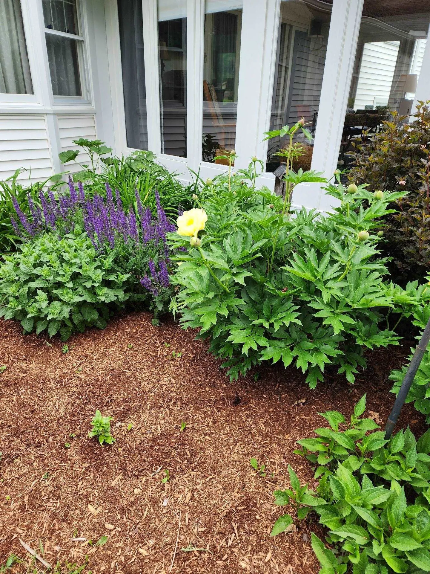 8 Green Meadow Acres Vergennes VT 05491