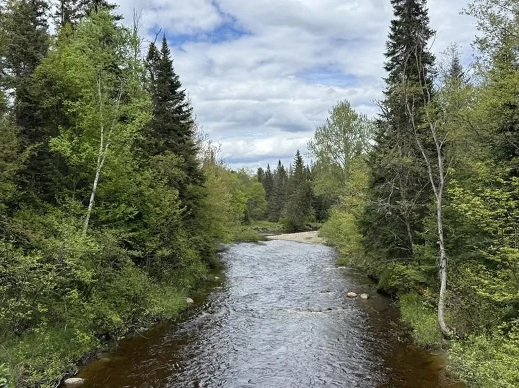 0 Stearns Brook Road Milan NH 03588